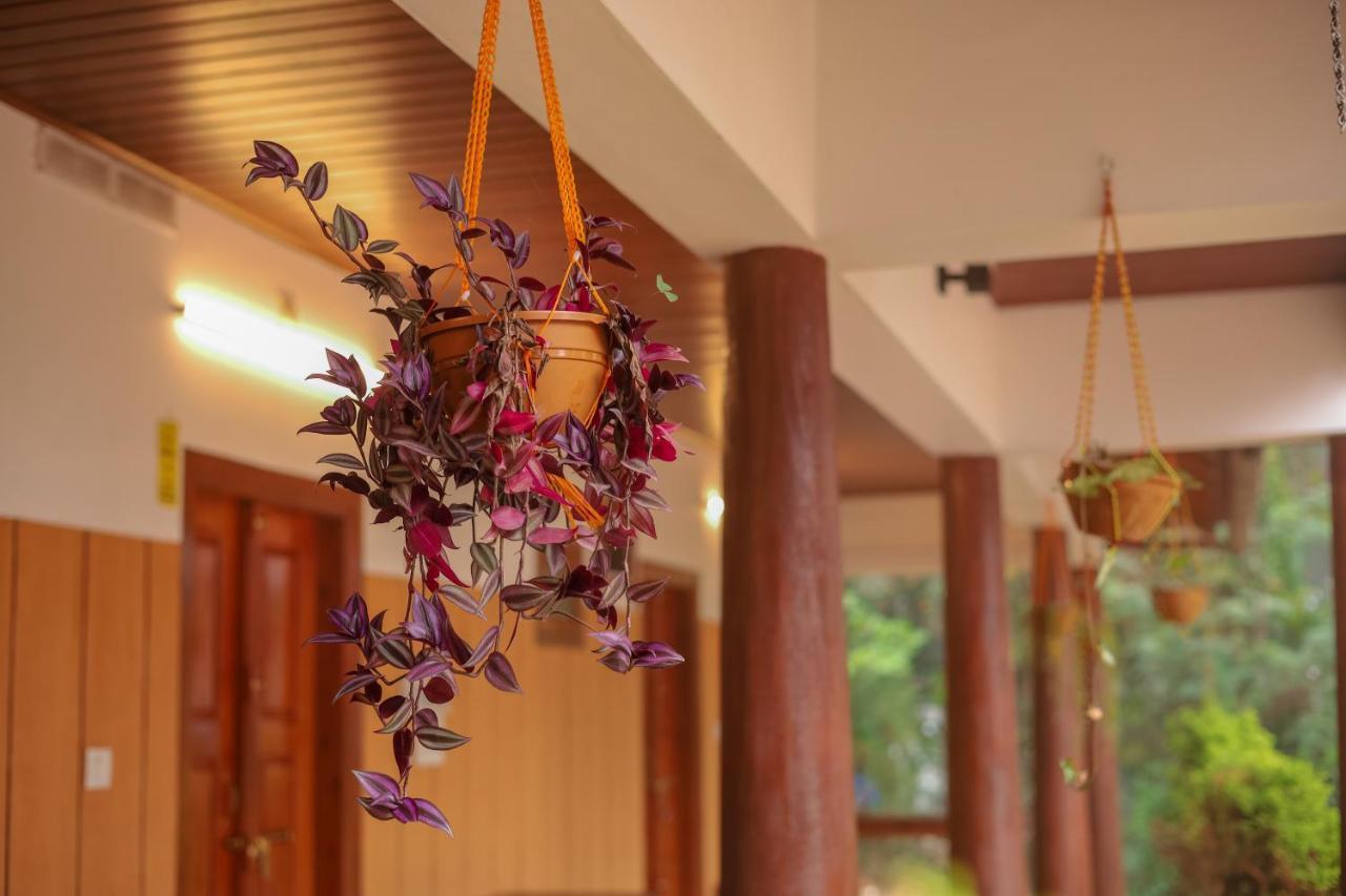 Swastha Plantation Homestay Kaniyāmbetta Εξωτερικό φωτογραφία
