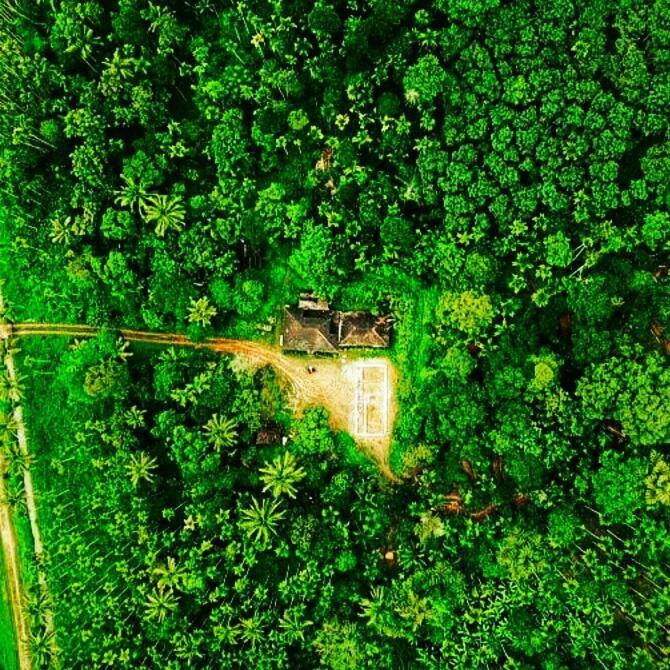 Swastha Plantation Homestay Kaniyāmbetta Εξωτερικό φωτογραφία
